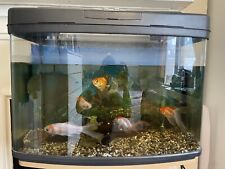 Aquariums job lot for sale  SEVENOAKS