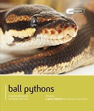 Ball pythons understanding for sale  AMMANFORD