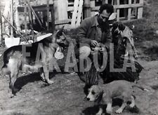 Vintage animali baby usato  Roma