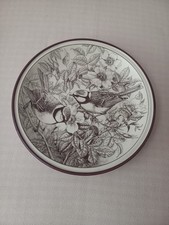 Piatto collezione cinciarella usato  Novi di Modena