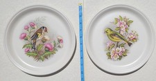 Barratts staffordshire plates for sale  EAST GRINSTEAD