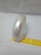 Pearled beauty...nautilus pomp for sale  Colorado Springs