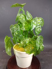 Vintage 90s lucite for sale  Athens