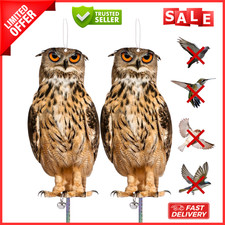 2pcs owl bird for sale  CHELTENHAM
