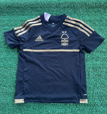 Nottingham forest 2015 for sale  BIGGLESWADE