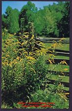 Lmh postcard goldenrod for sale  Birmingham