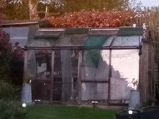 Alton cedar greenhouse for sale  WETHERBY