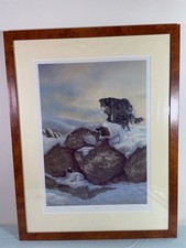 Nigel hemming found for sale  BIRKENHEAD