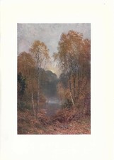 Stampa antica autunno usato  Lecco