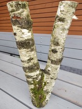 Legno tronco betulla usato  Spedire a Italy