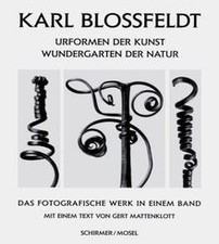Karl blossfeldt 1865 gebraucht kaufen  Berlin