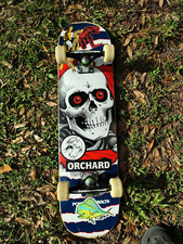 Powell peralta skateboard for sale  Lecanto