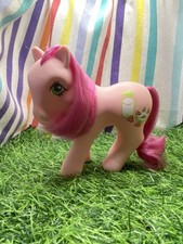 Little pony sweetberry for sale  MATLOCK