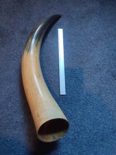 Cattle horn cleaned for sale  NOTTINGHAM