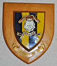 Queen yeomanry regimental for sale  WISBECH