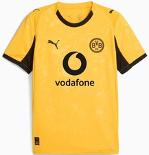 Puma bvb cup gebraucht kaufen  Berlin