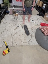 Plush area rug for sale  Bartlett