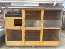 Aviary flight bird for sale  MELTON MOWBRAY