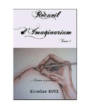Recueil imaginarium poèmes gebraucht kaufen  Trebbin