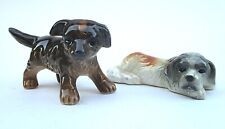 Pair goebel puppy for sale  Phoenix