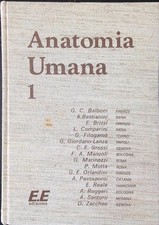 Anatomia umana aa.vv. usato  Italia