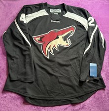 Arizona coyotes 2017 for sale  Phoenix