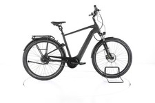 Pegasus savino evo gebraucht kaufen  Kempten (Allgäu)