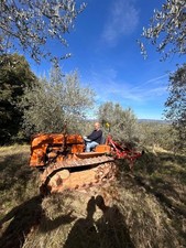 Trattore fiat 451 usato Trattore fiat 451 usato  Siena