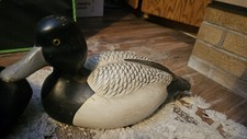 Lac croix ducks for sale  Le Sueur