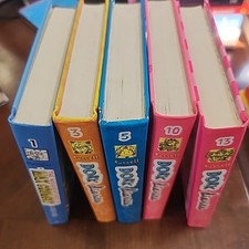 Lot dork diaries for sale  Temecula