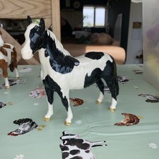beswick piebald for sale beswick piebald for sale MALTON