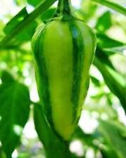 Fish pepper peperoncino usato  Italia