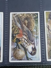 Gallaher cigarette card for sale  WOKING