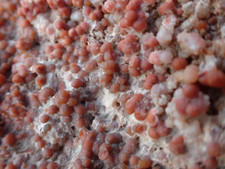 Usado, Fragmento de geodo calcedônia botryoidal ágata uva Utah bolhas do deserto GA10 comprar usado  Enviando para Brazil