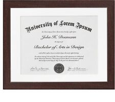 Americanflat 11x14 diploma for sale  USA