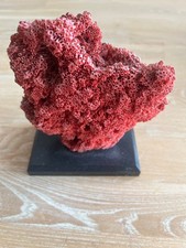 Corail rouge collection d'occasion  Houplin-Ancoisne