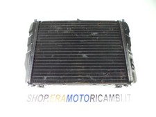 Radiatore acqua raffreddamento usato  Villa Castelli