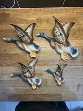 jema holland birds for sale jema holland birds for sale LONDON