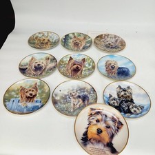 Yorkshire terrier collector for sale  HULL