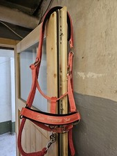 Eskadron halfter coral gebraucht kaufen  Bochum
