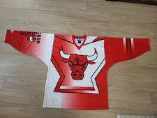 Michael jordan trikot gebraucht kaufen  Weiden