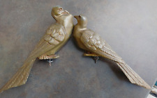 Limousin couple pigeons d'occasion  Bordeaux-