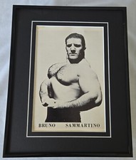Bruno sammartino vintage for sale  Belle Vernon