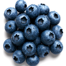 400 european blueberry for sale  Greenville