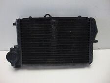 Wasserkühler kühler radiator gebraucht kaufen  Detmold