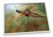 Archibald thorburn pheasant for sale  UK