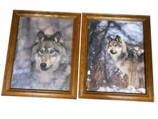 Set framed wolf for sale  Oswego