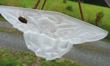 Degue french 1930 d'occasion  Tirepied