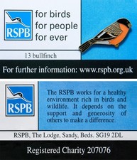 rspb bullfinch for sale rspb bullfinch for sale SANDY