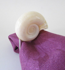 Coastal white nautilus for sale  Santa Fe